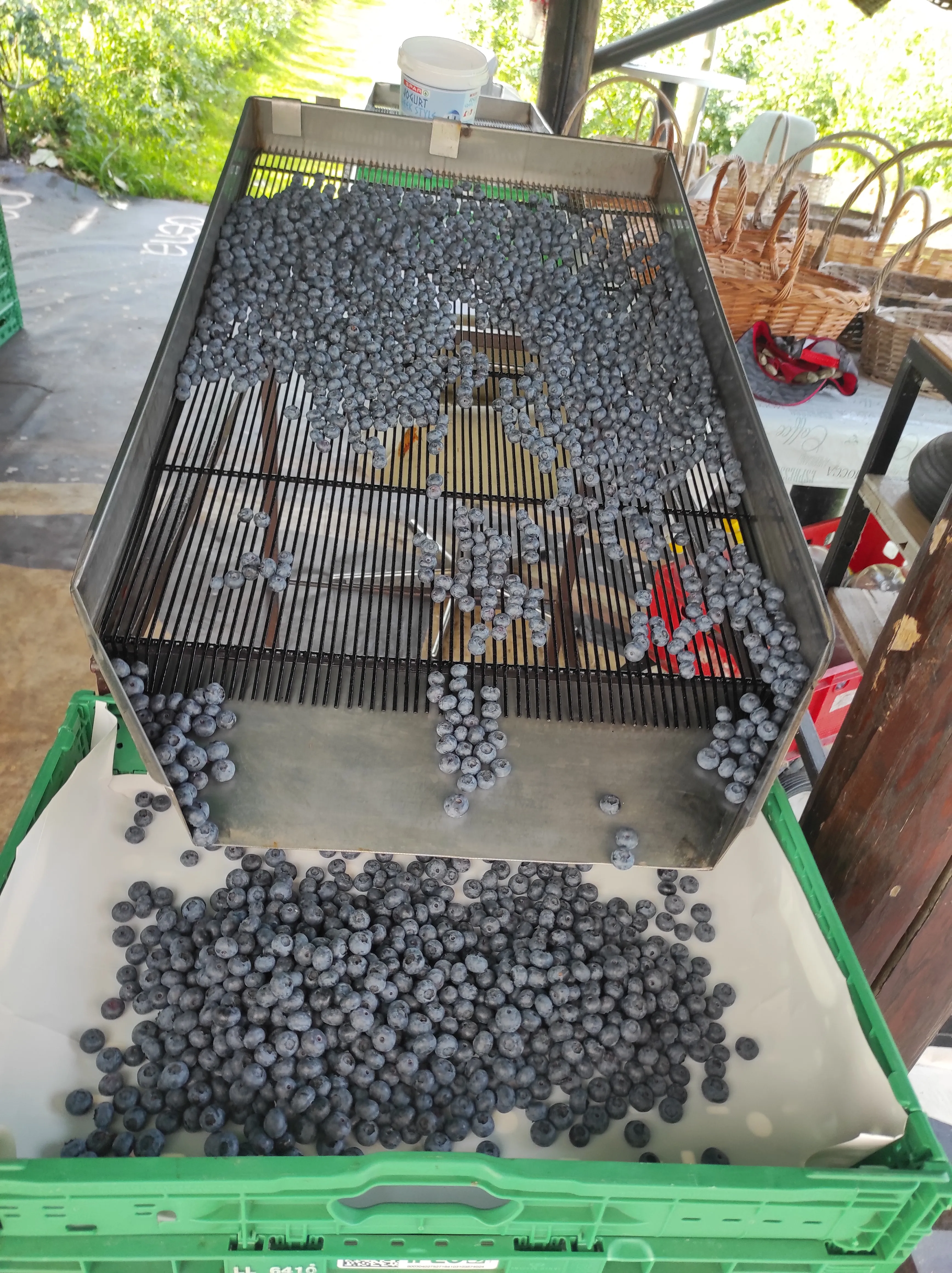 Galerija Lavrinc – harvest4