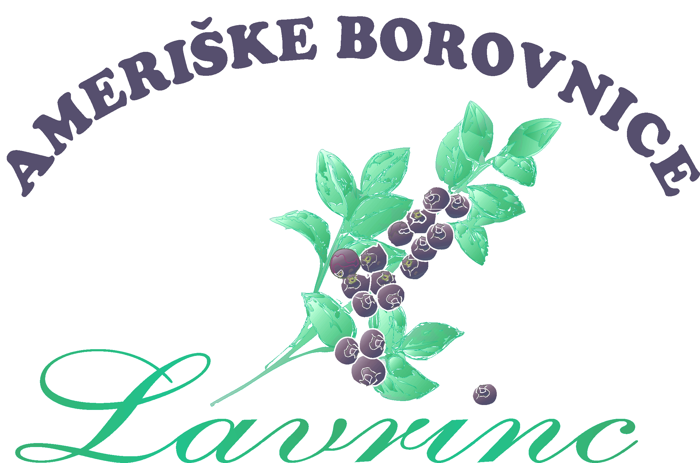 Logo Ameriške borovnice Lavrinc